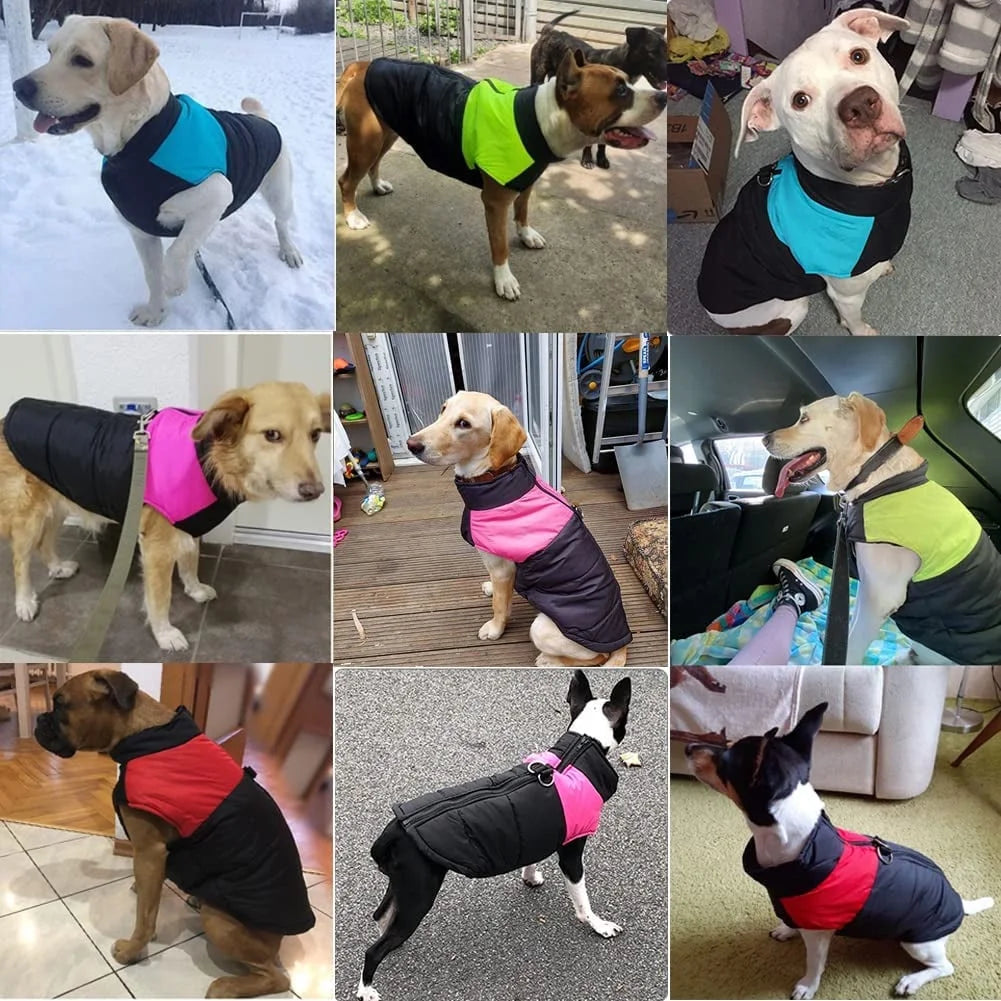 Windproof Dog Winter Jacket Waterproof Dog Coat Warm Dog Vest Cold Weather Pet Clothes for Small Medium Large Dogs